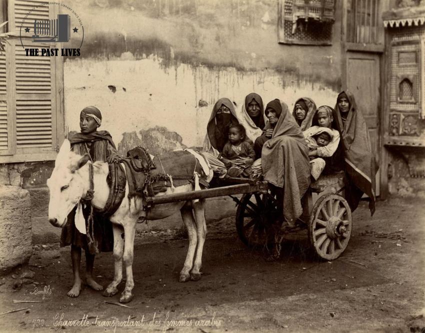 Egypt, 19th-century means of transportation, 1876