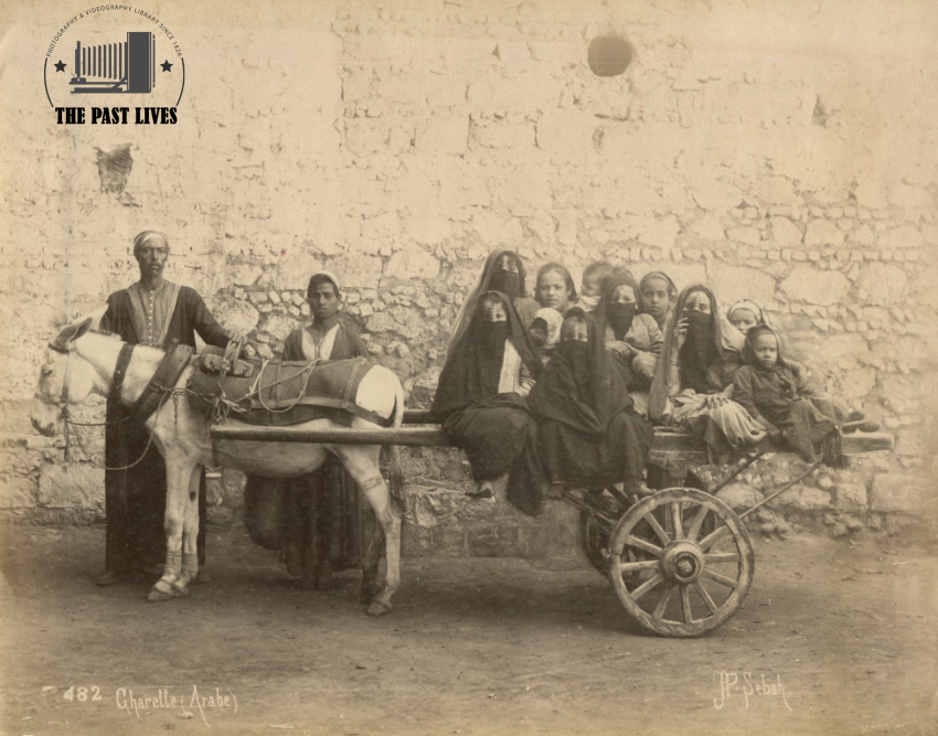 Egypt, Women's Chariot, Cairo , 1879