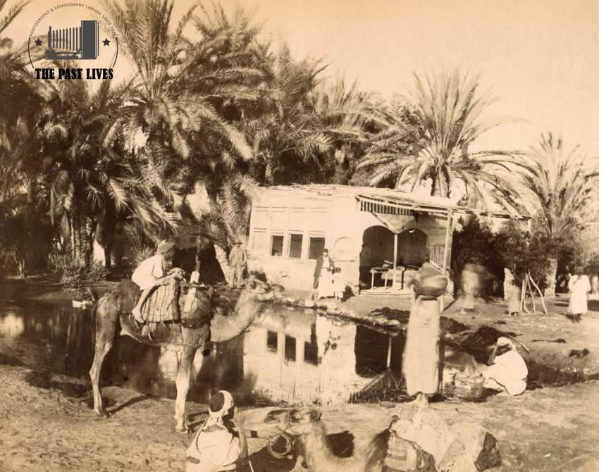 Egypt, Suez , Moses Springs, 1880