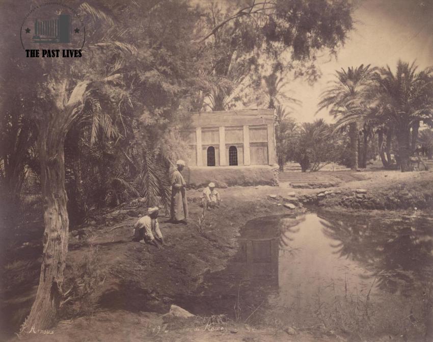 Egypt, Suez , Moses Springs, 1879