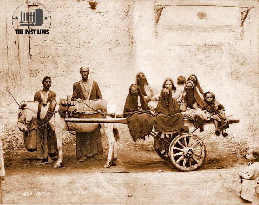 Egypt, Women's Chariot, Cairo , 1879