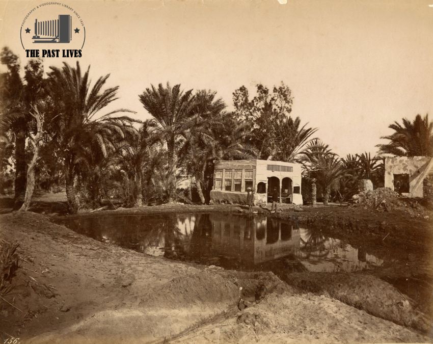 Egypt, Suez , Moses Springs, 1871