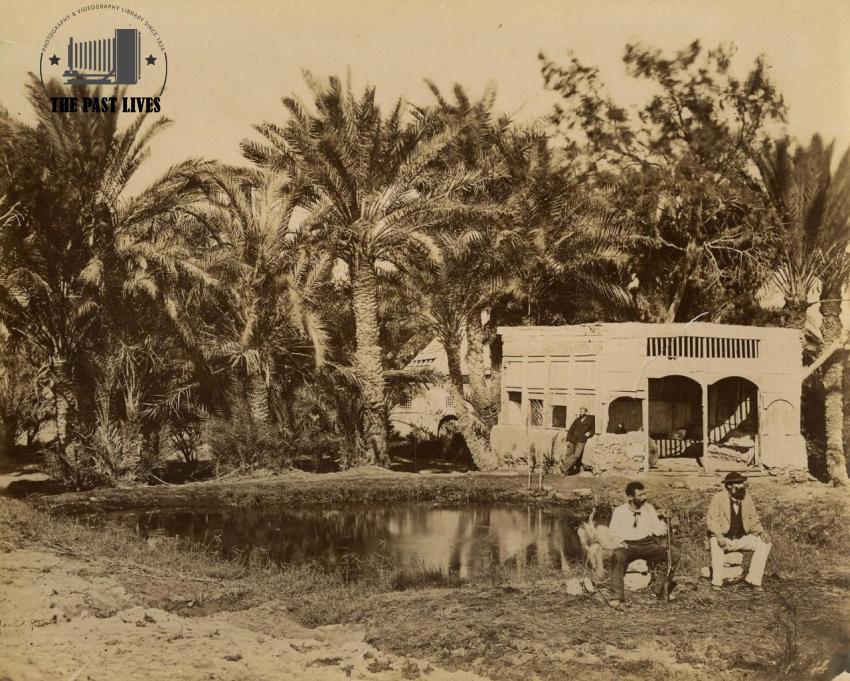 Egypt, Suez , Moses Springs, 1889