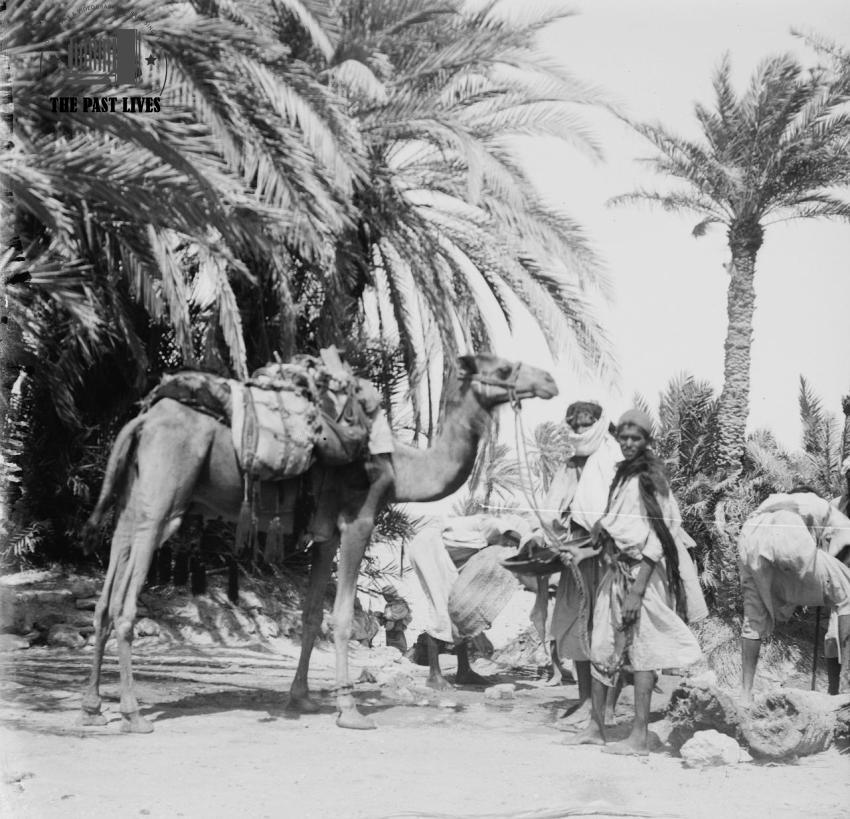 Egypt, Suez , Moses Springs, 1930