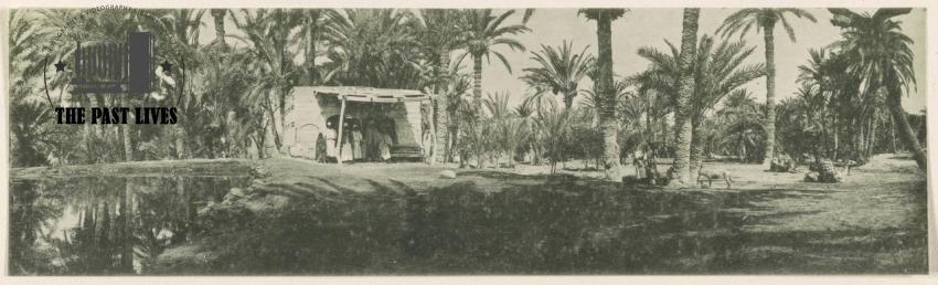 Egypt, Suez , Moses Springs, 1916