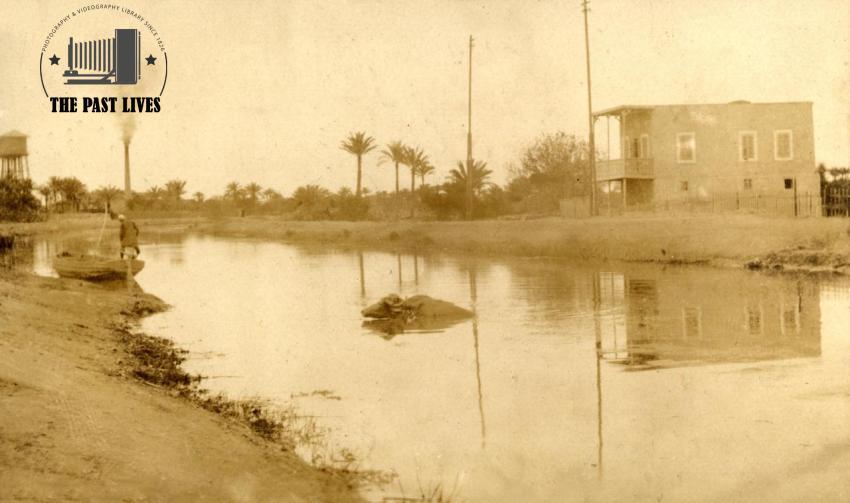 1917 Egypt, Mit Ghamr - Dakahlia