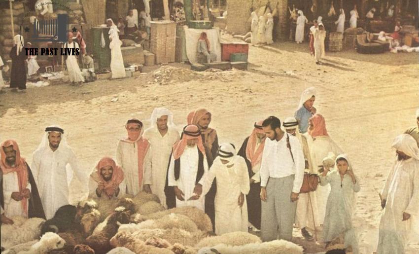 Sheep selling ring in Mecca during the 1953 Hajj season