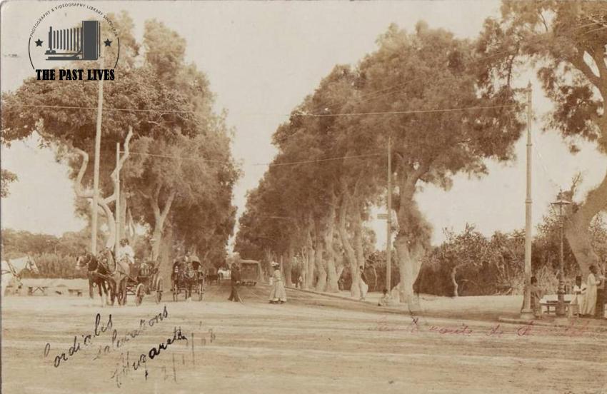 Alexandria Wabour El-Mayah ( Dr. Ahmed Zewail ) 1903 Ad