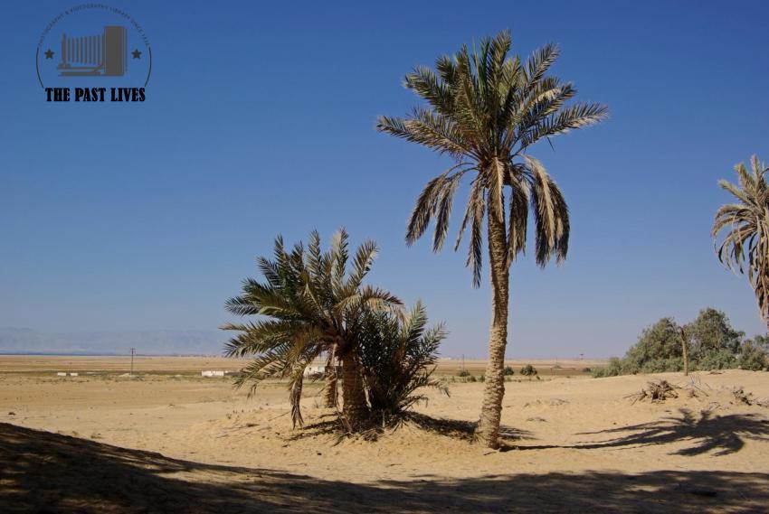 Egypt, Suez , Moses Springs, 2010