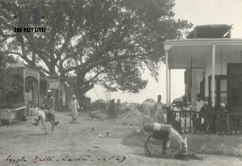 Cafés in El-Santa, Al Gharbia Governorate – 1929