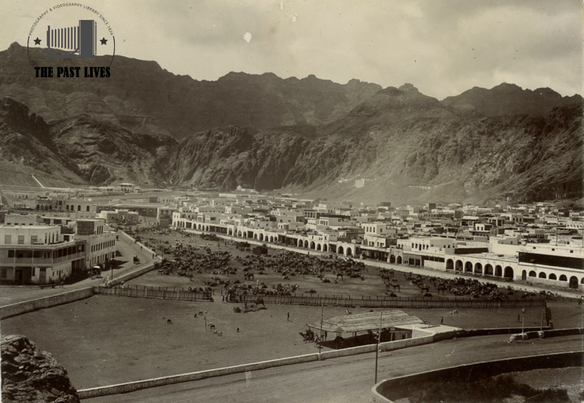 Yemen, Aden, Sheep Market, 1870