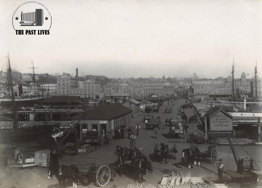 New Zealand, Auckland, 1880