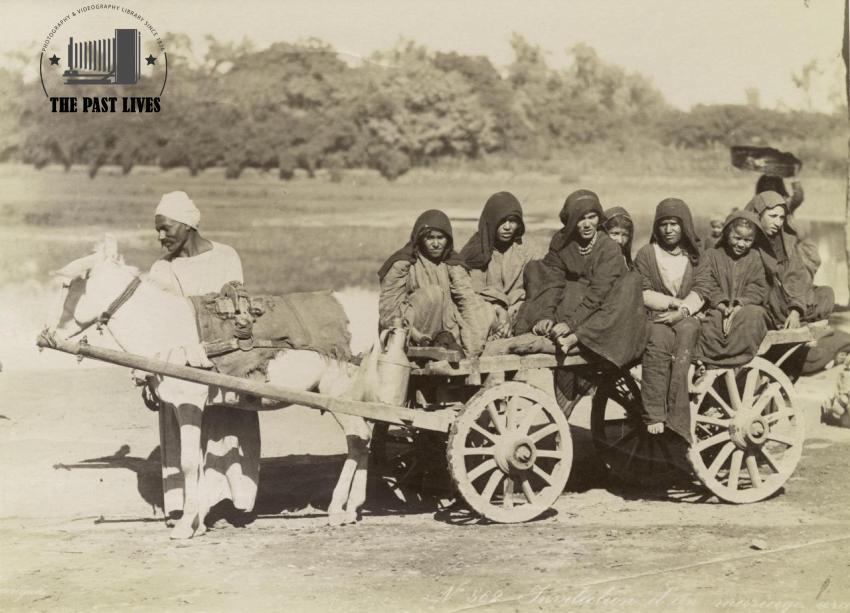 Egypt, Women's Chariot, Cairo , 1880