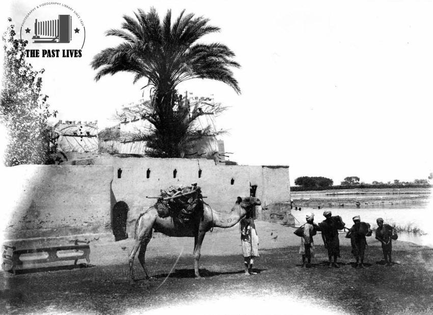 1918 Egypt,  Mahamid village luxor