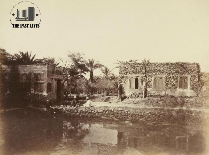 Egypt, Suez , Moses Springs, 1867
