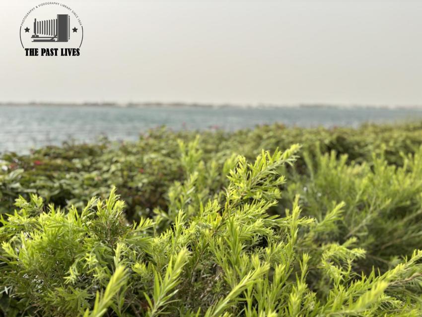 Saudi Arabia, South Obhur - Jeddah, 2025