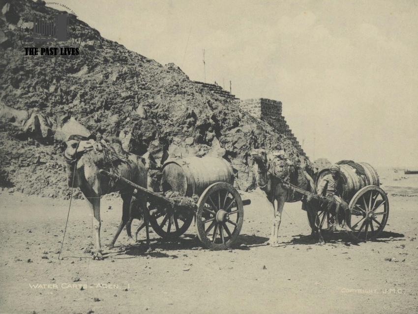 Water carts, Yemen, Aden, 1890