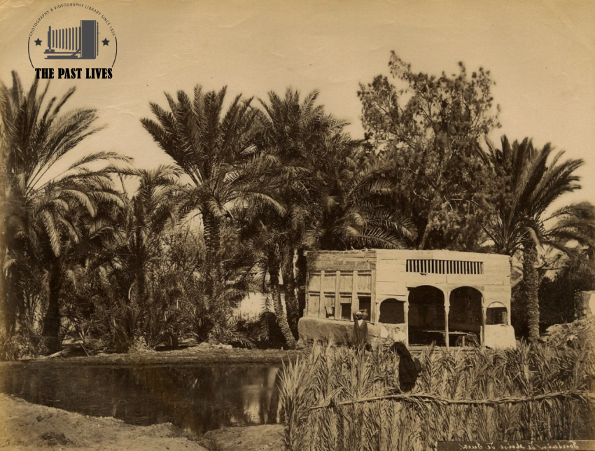 Egypt, Suez , Moses Springs, 1871