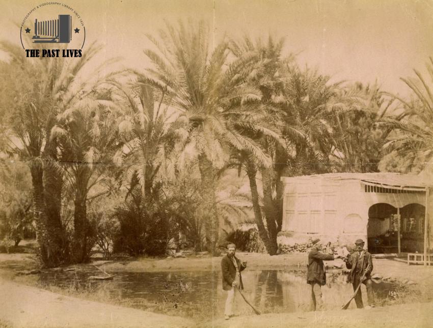 Egypt, Suez , Moses Springs, 1869