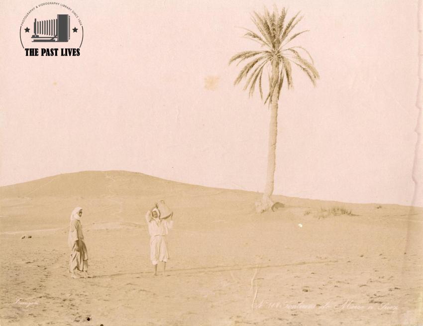 Egypt, Suez , Moses Springs, 1889