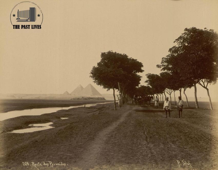 1879  ​​Egypt, Al Haram Street, Giza
