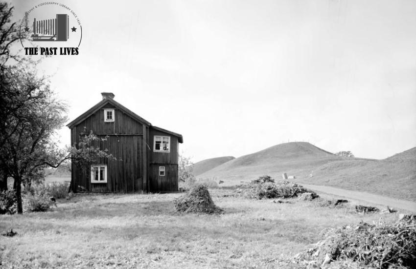 Klockarbol Farm ,Old Uppsala , Sweden1946