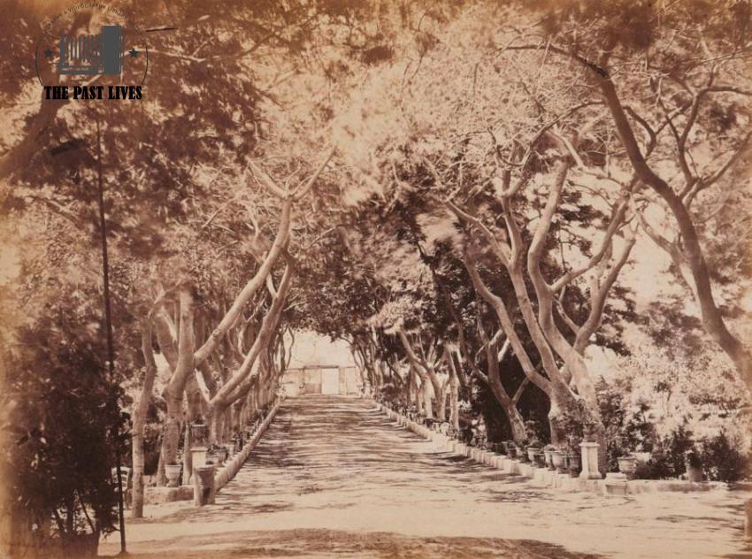 Alexandria Wabour El-Mayah ( Dr. Ahmed Zewail ) 1862 Ad