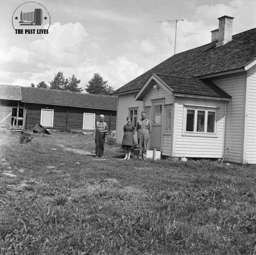 Family farms in Joutsa, Central Finland in 1964