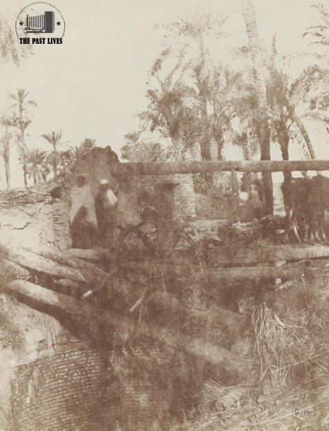 Egypt, a waterwheel in a Giza village in 1856