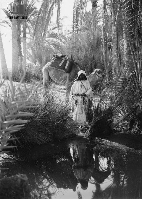 Egypt, Suez , Moses Springs, 1925