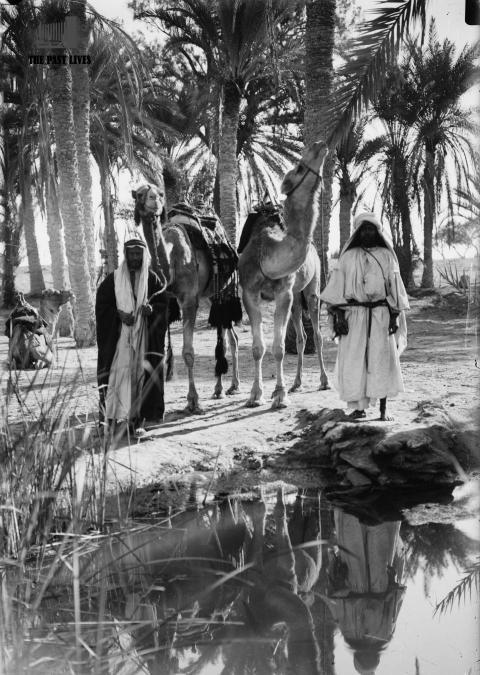 Egypt, Suez , Moses Springs, 1925