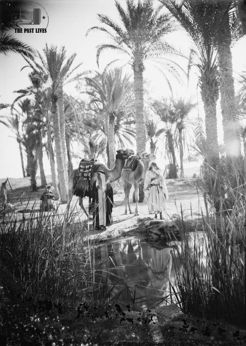 Egypt, Suez , Moses Springs, 1925