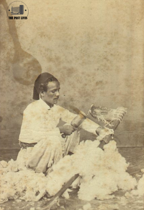 Al-Munjid, Cotton Sorter or Dresser – Cairo, Egypt – 1870