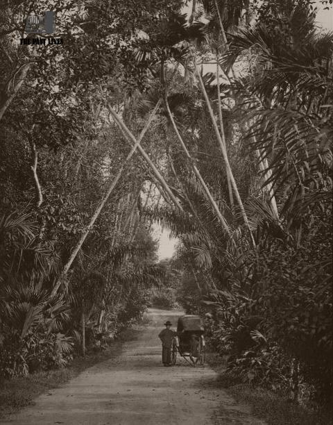 1896 Singapore | Street in Tanglia