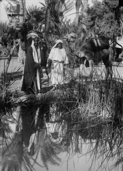 Egypt, Suez , Moses Springs, 1925